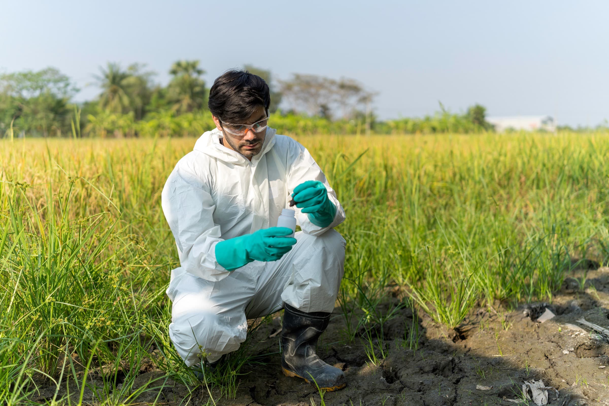Environmental Measurements